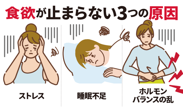 食欲が止まらない3つの原因