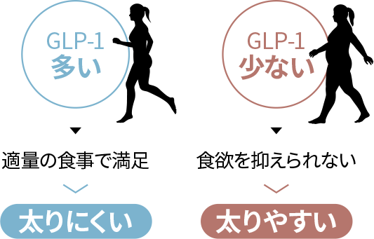 GLP-1ダイエット